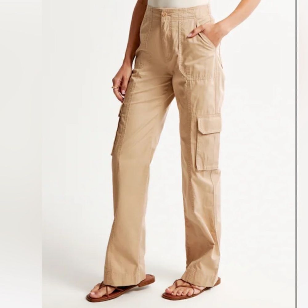 Abercrombie and Fitch Curve Love Cargo pants